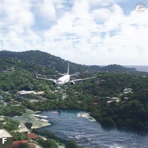 This landing is TOO clean #pilot #flightsim