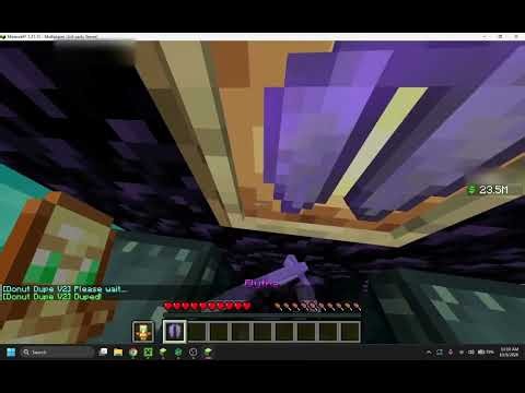 Working Donut smp dupe October 2026, unbannable!