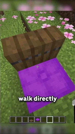 THEY ADDED SITTING TO MINECRAFT...