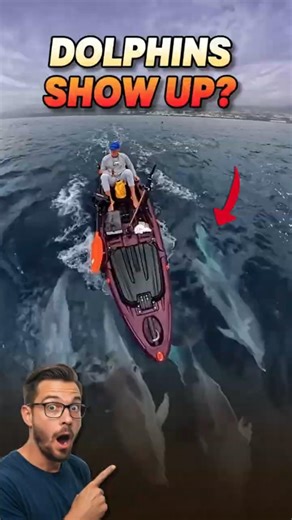 INSANE DOLPHIN ENCOUNTER! kayak fishing turns UNREAL offshore moment #kayak #fishing #dolphin #short