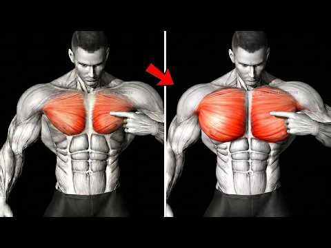 5 Chest Exercises That Build a Bigger and Thicker Chest