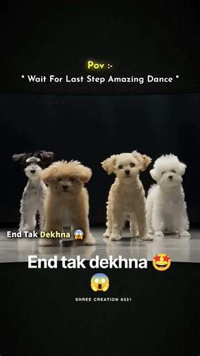 dogys dance😍☺️#cutedog #trending #love #subscribe #greenscreen