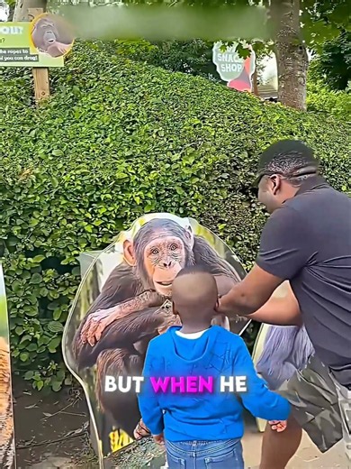 This Zoo Game Puts Your Strength to the Test!