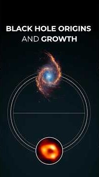 Black Hole Origins and Growth
