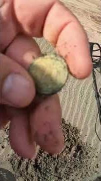 The coins started to show up #metaldetecting #treasuresearch #beachdetecting
