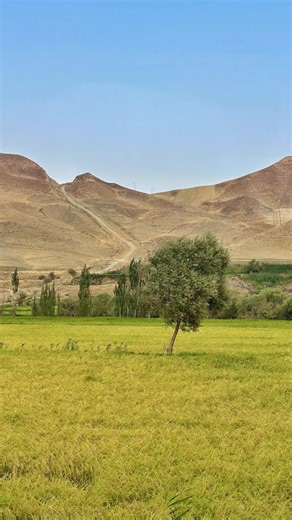 be2af on Instagram: "Quick Tutorial Photo Edit - Snapseed #edit #snapseed #tutorial #howto #beforeandafter"