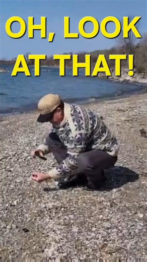 LOOK AT THAT! What’s Left Behind… 👀 #Shorts