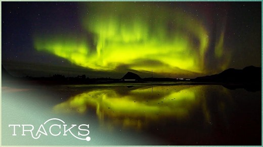 Watch along: Hunting the Arctic northern lights | Nature's artistic sceneries