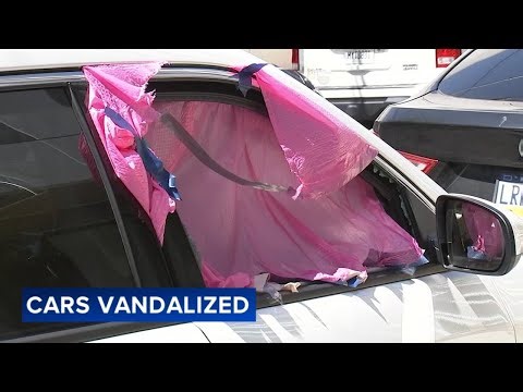 'They actually used a crowbar': Repeated car break-ins damage at least 10 vehicles