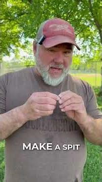 Most People Walk Past This Useful Plant