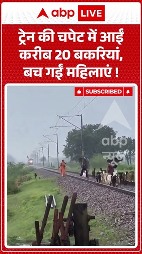 Viral Video : ट्रेन की चपेट में आईं करीब 20 बकरियां, बच गईं महिलाएं ! #railaccident #goats