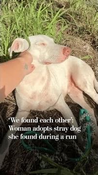 Woman adopts stray dog she found while on a run