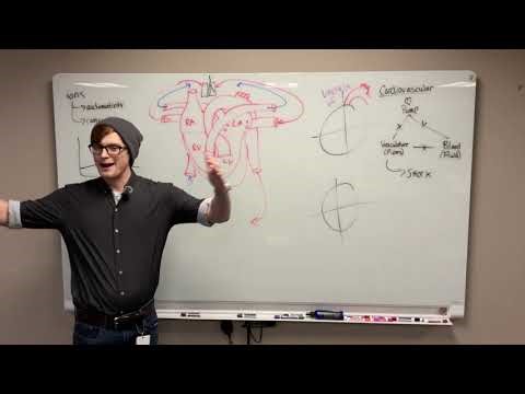 AEMCA Review Course - Cardiovascular for Paramedics 