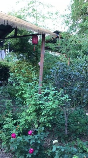 日落西山，又是一天，简简单单，顺其自然 ，，，#随拍