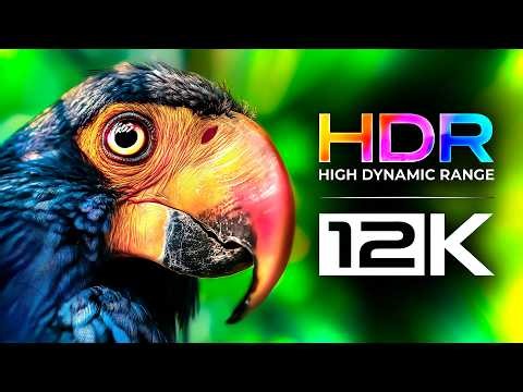 16K HDR 60FPS ULTRA HD TV Test | OLED Display Demo | Dolby Vision Colors & Nature Relaxation 12K