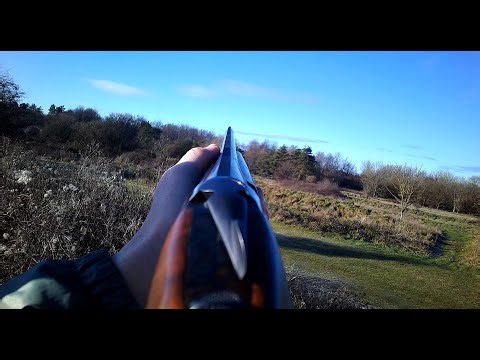 Clays Away Colerne Fabarm Elos D2 Elite 20 gauge 4th Jan 2026 Aimcam Pro4K & Shotkam Gen 4