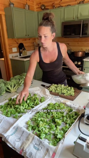 How to Freeze a YEAR’s Worth of Broccoli 🥦