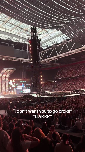 Harry Styles Tour: Worth Every Penny!