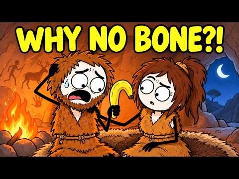 Why Evolution Took Away The Mating Bone. (Nature Made A Lie Detector)