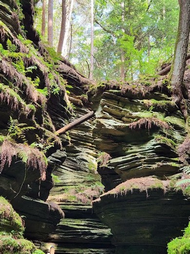 Witches Gulch Wisconsin Dells 🔥 👀 2026 #shorts #wisconsindells #wisconsin #wisconsinlife #hiking