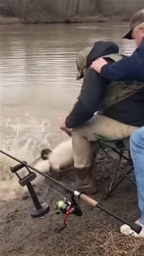 Giant Catfish Explodes From Lake and Grabs Fisherman’s Leg