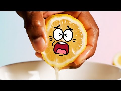 Cute ASMR Objects Come to Life 😍 | Satisfying Relaxing Sounds (AI Animation)