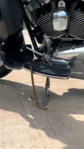 Check Before You Ride 🏍️🐍