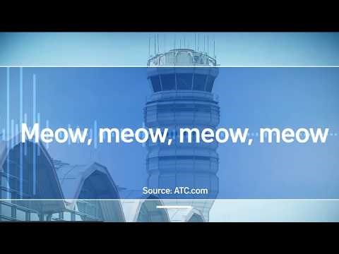 Pilots heard meowing on air traffic control audio | NBC4 Washington