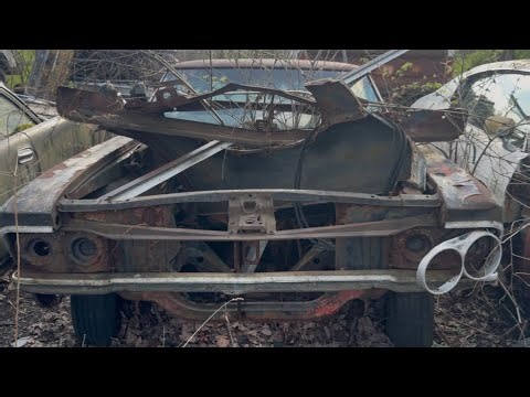 Take a walk through the yard at Dave’s Garage with us!