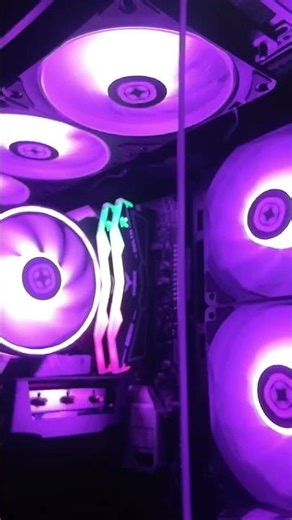 Project Zero Pano Stealth Premier | Intel i5-12600K + RTX 5060 Gaming PC