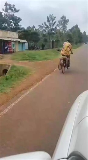 Drama as a Siaya man takes a dead python and his dog’s carcass to a police station after the snake kills the animal, demanding compensation and saying the dog died while protecting his property. | Wakenya Leo News