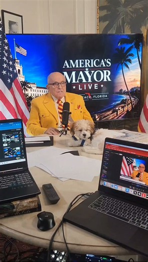 Rudy W. Giuliani on X: "Join us every night at 5 pm ET for "America's Mayor Live, " now featuring Penelope. Penelope insists on being on set! America's Mayor Live 🇺🇸" / X