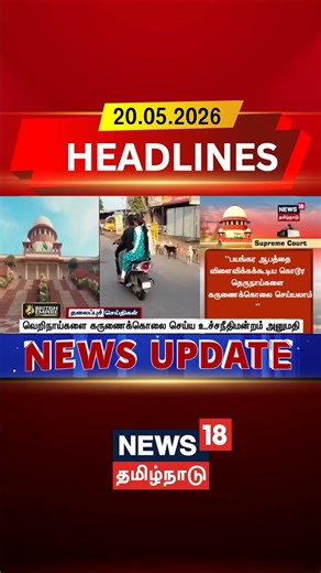 Supreme Court Allows Mercy Killing | வெறிநாய்களுக்கு கருணைக்கொலைRabid Dogs Euthanasia Approved