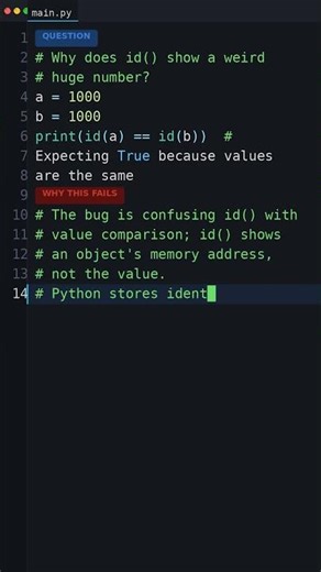 Tricky Python Behavior: Why does id() show a weird huge number?