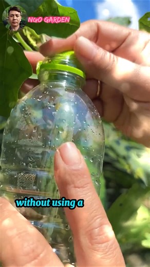 Genius Hack to Protect Luffa from Pests. #ngogarden #gardening #garden