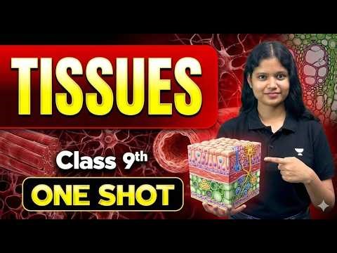 Plant & Animal Tissues– Class 9 One Shot | CBSE Science Biology | Twinkle Ma'am
