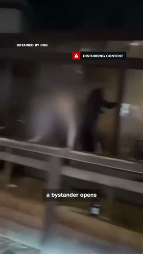 Videos show scenes of panic as fire broke out at Swiss bar