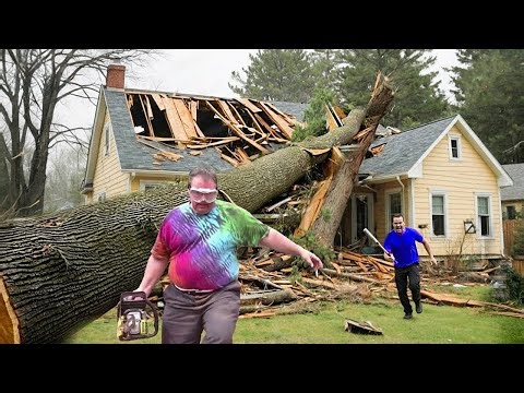 Idiots With Chainsaws & Tree Cutting Fails | Extreme Dangerous Logging Truck Fails #3