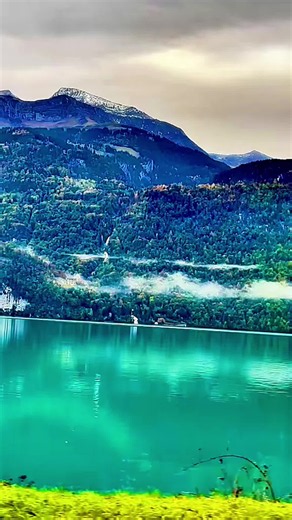 Nature: calming nature footage and scenes