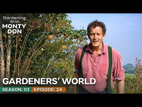 Planting Spring Bulbs & Cutting Wildflower Meadows | Gardeners’ World Season 3 Episode 24