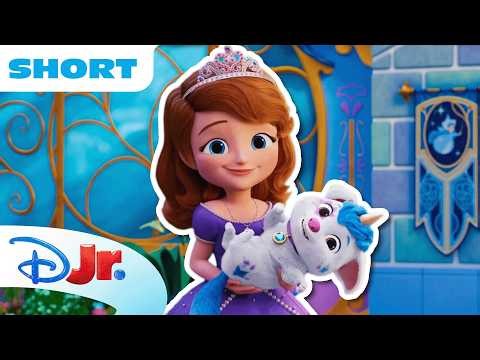 Sofia and Pepper Introduce the Castle Pets! 💖🐾 | Sofia the First: Magical Friends | @disneyjr