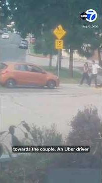 Driver accused of trying to run over couple, dog at L.A. park