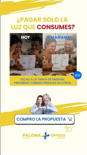 Techo a la tarifa de energía: prohibido cobrar las pérdidas de otros