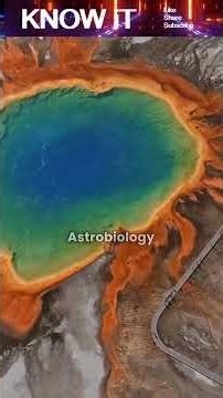 What might Aliens look like? 👽