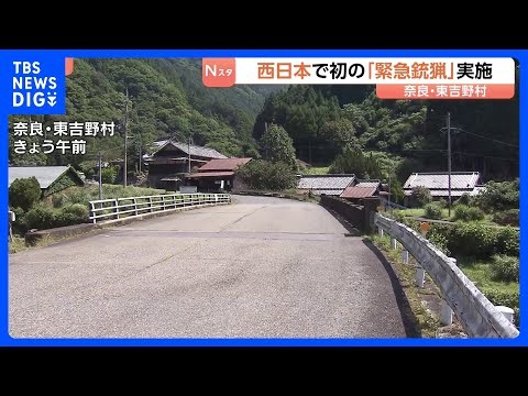 西日本で初の「緊急銃猟」 ツキノワグマ全長135センチ体重41キロ オスの成獣　奈良・東吉野村｜TBS NEWS DIG