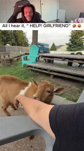 Stop, why does this goat sound like a human? 💀😂 #funnygoat #shorts #trending
