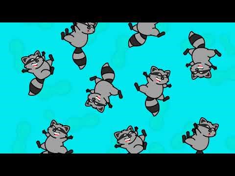 Raccoons! Live animal camera in the woods