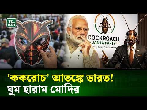 সব ককরোচ একযোগে বেরিয়ে এলে ভারতে কী ঘটবে? | Cockroach Invasion | NTV News