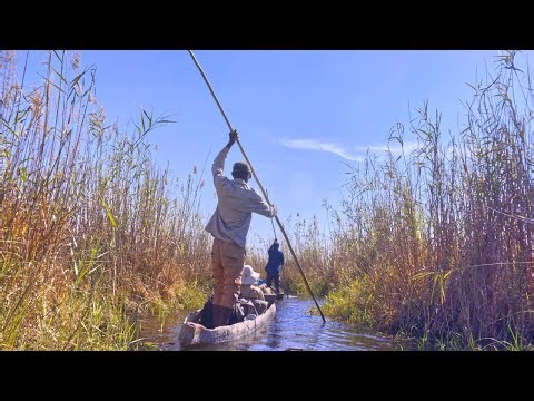 Africa’s Wildlife Paradise: Okavango Delta