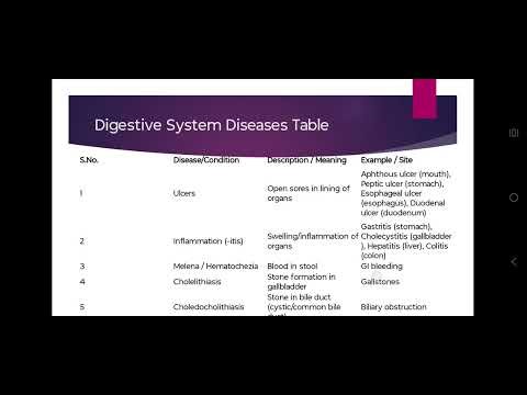 Class II Digestive System | Important Terminology & Diseases Explained Simply